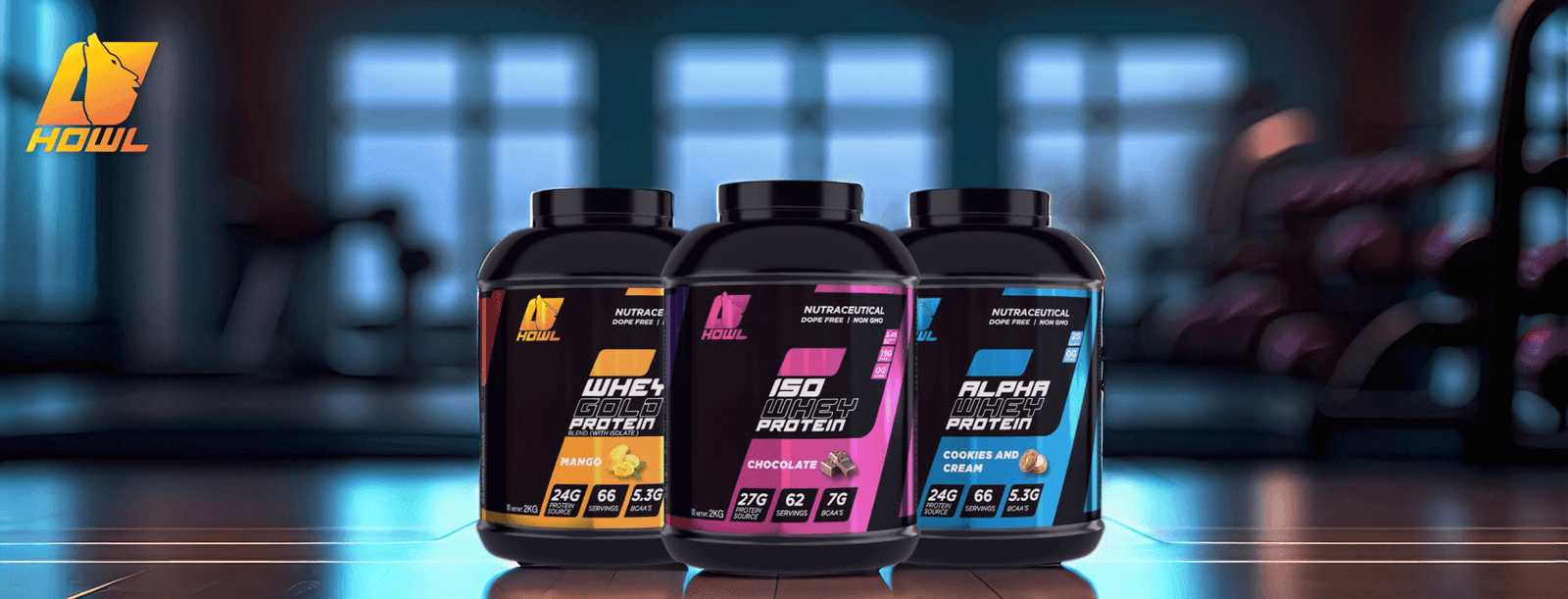 Best Protein at Cheap Price